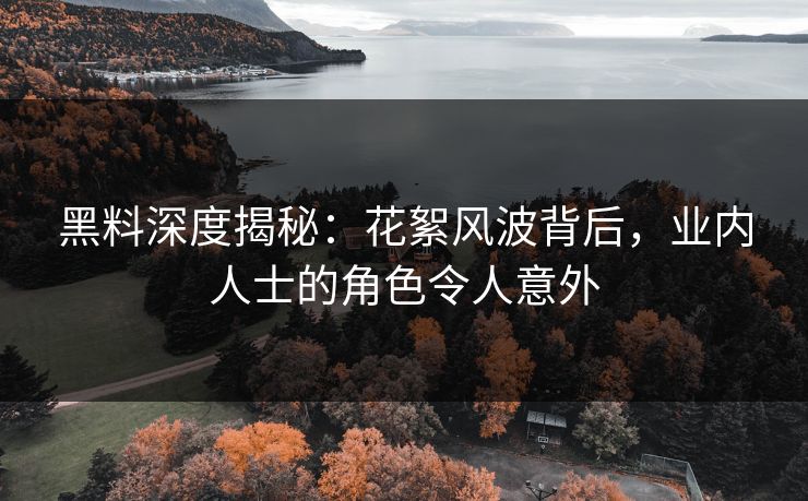 黑料深度揭秘：花絮风波背后，业内人士的角色令人意外